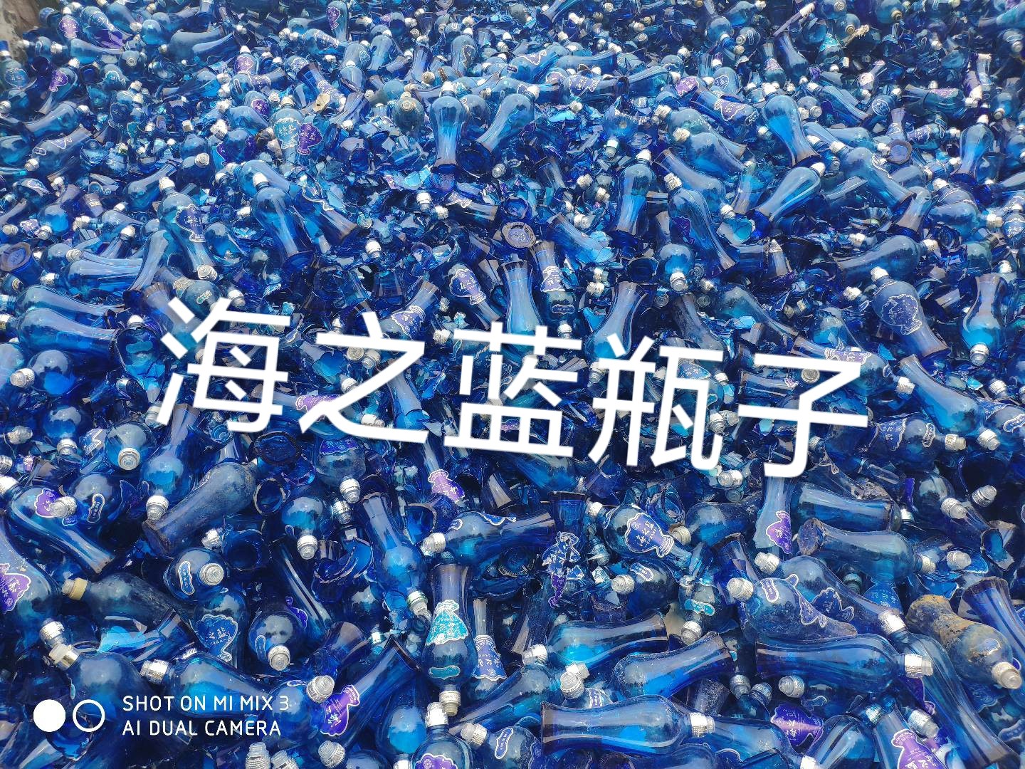南京海之蓝瓶回收